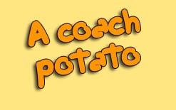 перевод coach potato