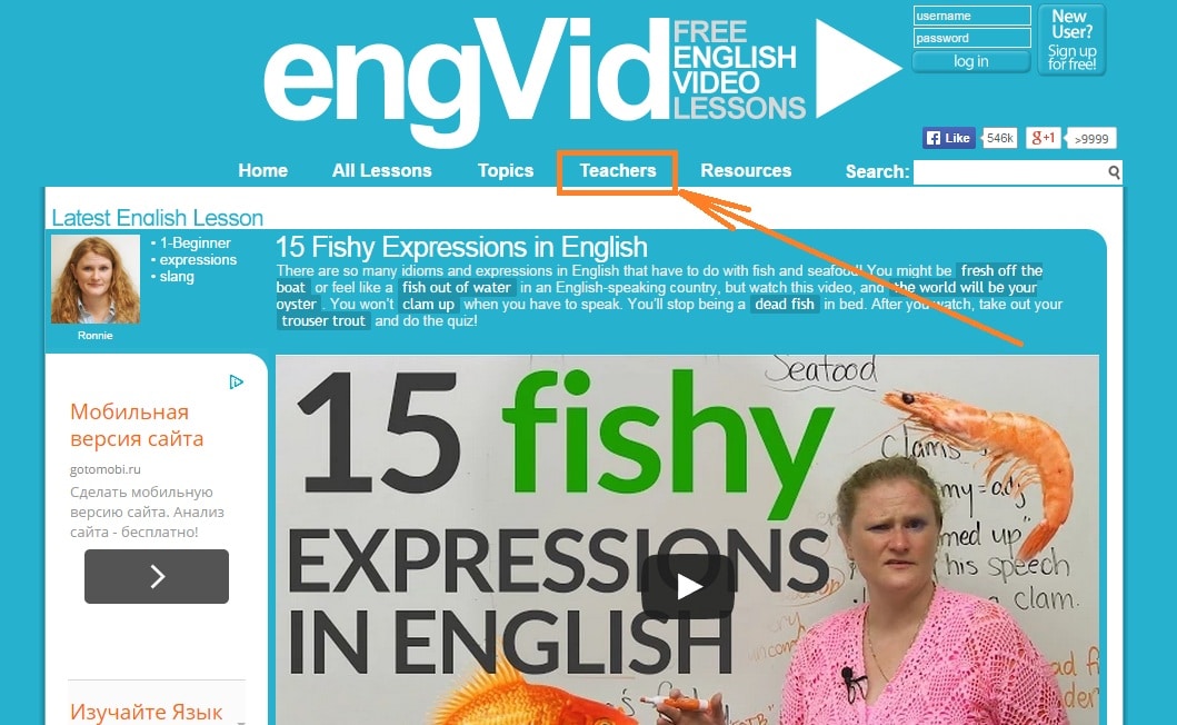 Eng video. ENGVID. Www.ENGVID.com. ENGVID логотип.